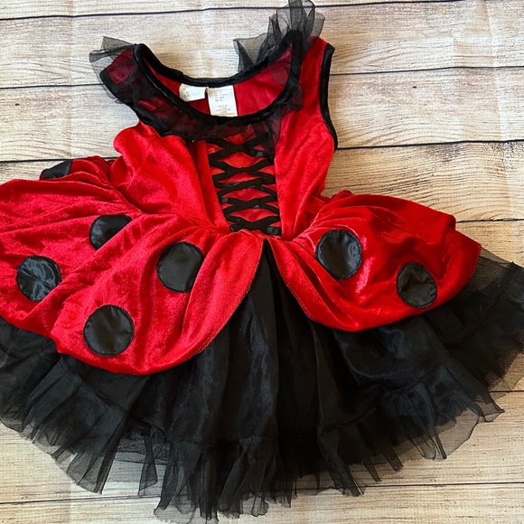 Ladybug Costume Halloween Size 4T Fairy Dust - Picture 1 of 4